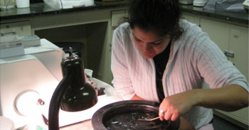 Drexel Pathologists' Assistant Program Students