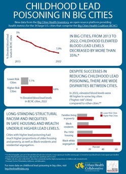 Infographic titled Childhood Lead Poisoning in Big Cities