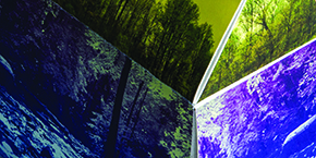 Eastern Mountain Sports Gift Packaging