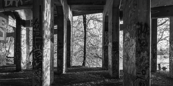 Photography by Michael Froio