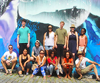 MIP in Brazil