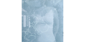 Carey McCarthy