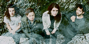 Edelweiss