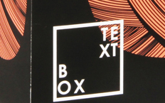 Text Box